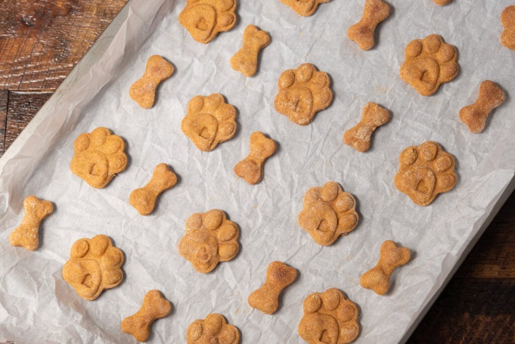 make money baking dog treats